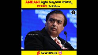 Ambani దెబ్బకు కుప్పకూలిపోబోతున్న పెట్రోల్ కంపెనీలు Full Video In Comments #shorts