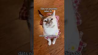 Funny Animals Videos 🤣 | Ep. 435 #shorts #viral #funny