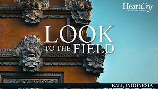 Bali - Indonesia | Look to the Field