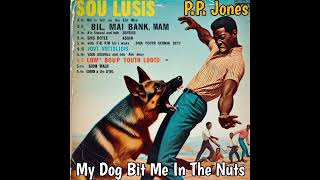 My Dog Bit Me In The Nuts (rare 1960's vinyl)