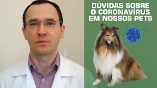 Esclarecimentos sobre o coronavírus nos pets