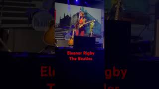 Eleanor Rigby - The Beatles #music #livemusic #beatlemania