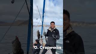 морская прогулка на парусной яхте #kamchatka #туризм #live #love #океан #яхта