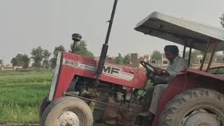 powerfull Messi 240 tractor stunt trolley  loading gandam