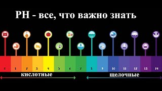 pH - что это? Самое важное. Коротко.