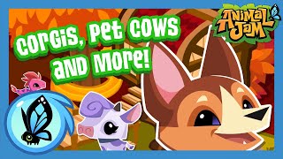 Corgis, Pet Cows and more! | Animal Jam