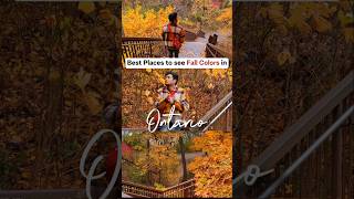 Best Places to see Fall Colors in Ontario