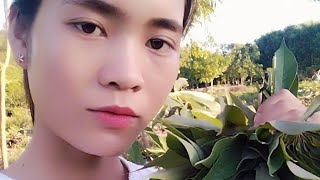 Quê hương là nơi bình yên nhất