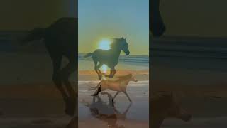 #shorts Horse: Animal World