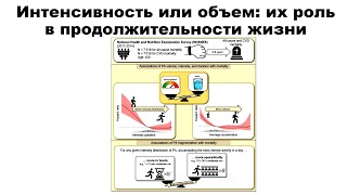 Интенсивность или объем: их роль в продолжительности жизни