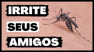 Som de PERNILONGO / MOSQUITO