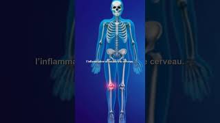 CURCUMA, L’ANTI INFLAMMATOIRE NATUREL APRÈS 55 ANS #Curcuma