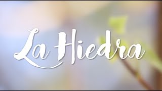 La Hiedra: ¿Es tóxica para nuestros loros?