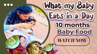 What My Baby Eats In a Day || 10 Months Baby Food || Day In My Life #firstfoods #babyfood #momlife