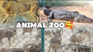 I visited animal and birds zoo ❤️🥰