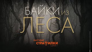 Байки из леса | Научные страшилки (1 серия)