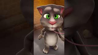 My talking Tom.