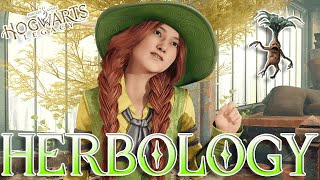 Herbology Class - Hogwarts Legacy - Part 8