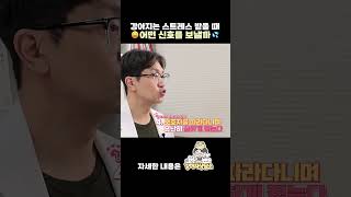 강아지가 스트레스 받았을때 보이는 행동은?