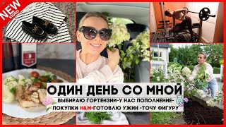 ПОПОЛНЕНИЕ СЕМЕЙСТВА😉 ВЫБИРАЮ ГОРТЕНЗИИ🌸 ПОКУПКИ H&M 👠 СНОВА ТРЕНИРУЮСЬ 💪ЧТО НА УЖИН?