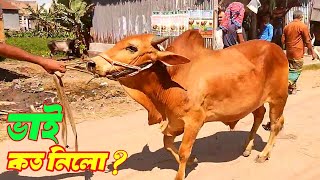 ভাই কত নিলো ২০২৩ ? | Qurbani Cows (Hozrotpur Paragram) Gorur Hat 2023  Part 09 | Bhai Koto Nilo ?