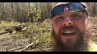 Off the grid clearing the forest for the home and garden