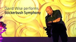 Stickerbush Symphony live with David Wise