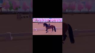 Dressage training with Toast ty for @_whs_chicago_ for suggesting to ride Toast! Idk about this edit lol