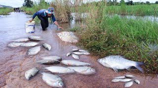 best fishing ever,a great fisherman catch fish on water flood