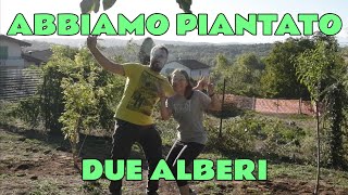 DUE NUOVI ALBERI NEL FRUTTETO 🌳