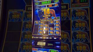 Buffalo lightning link slot machine, bonus round ! #slots #casino #slotmachine #jackpot #bigwin ￼