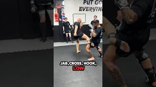 Mastering Striking Techniques: Jab/Cross, Belly Hook, and Low Kick with Coach DAVID SILVA