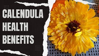 Awesome Medicinal Benefits of Calendula