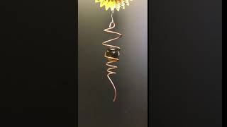 Copper Gold Spiral Tail