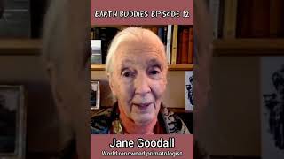 Jane Goodall request 🙏 to 👣 Save Soil 👣