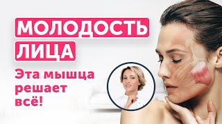 ОВАЛ ЛИЦА: ЭТА МЫШЦА РЕШАЕТ ВСЁ! Скрытая причина отёков и «брылей»