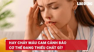 Hay chảy máu cam cảnh báo cơ thể đang thiếu chất gì? | Báo Lao Động