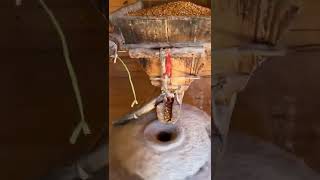 grind some grains in a traditional way l #viral #viralvideo #shortvideo #shorts #short #trending