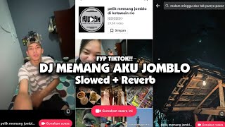 DJ MEMANG AKU JOMBLO ( Slowed + Reverb ) 🎧