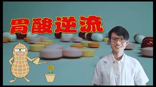 胃酸逆流的人一定要遵守的生活规则！|【胃酸逆流】花生健康医药 EP44