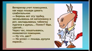 - Я дико извиняюсь, а Любу можно? - Она переехала. - ЕЩЁ РАЗ ИЗВИНЯЮСЬ, А КОГО? Юмор на каждый день.