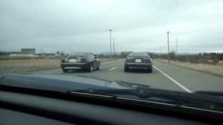 2003 Mustang GT vs. 2004 Mustang GT