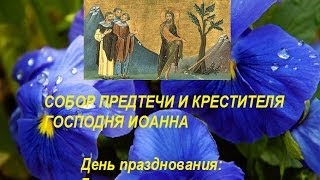 о. Димитрий Смирнов, проповедь на Собор Предтечи и Крестителя Господня Иоанна