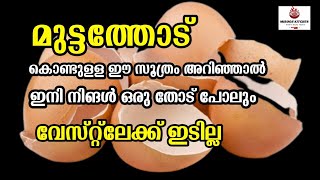 മുട്ടത്തോട് വേസ്റ്റ്ലേക്ക് ഇടുന്നതിനു മുൻപ് ഇതൊന്ന് കണ്ട് നോക്കൂ / Egg Shell Uses #TipsandTricks