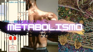 🔥METABOLISMO ¡UN VIAJE ALUCINANTE!😵