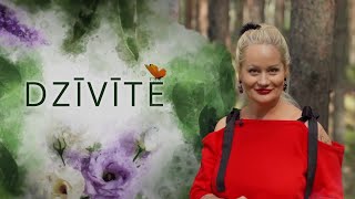 Dzīvīte S8E10