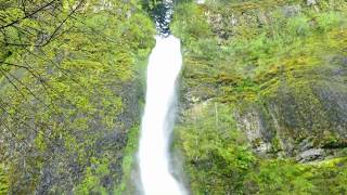 The Falls of the Columbia Gorge