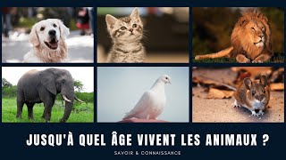 Jusqu'à quel âge vivent les animaux ?