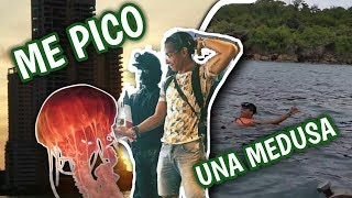 ME PICO UNA MEDUSA/VLOG CARTAGENA/ #LUCHOJR