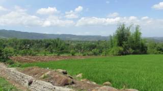 Canlaon View of Bacolod